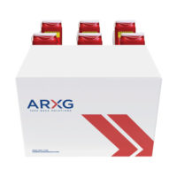 american-rx-group-products-prescription-sharps-take-back-1.4-6Pack-600x600